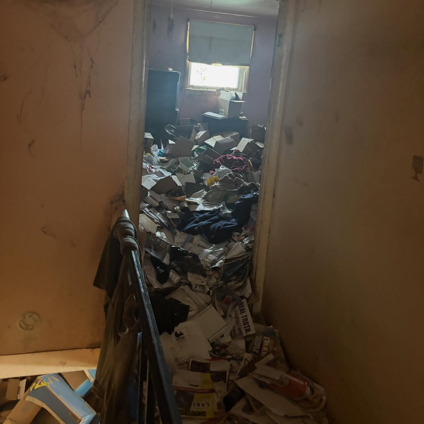 Estate cleanout
